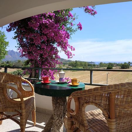 Vacanza In Ogliastra Tertenìa Екстериор снимка