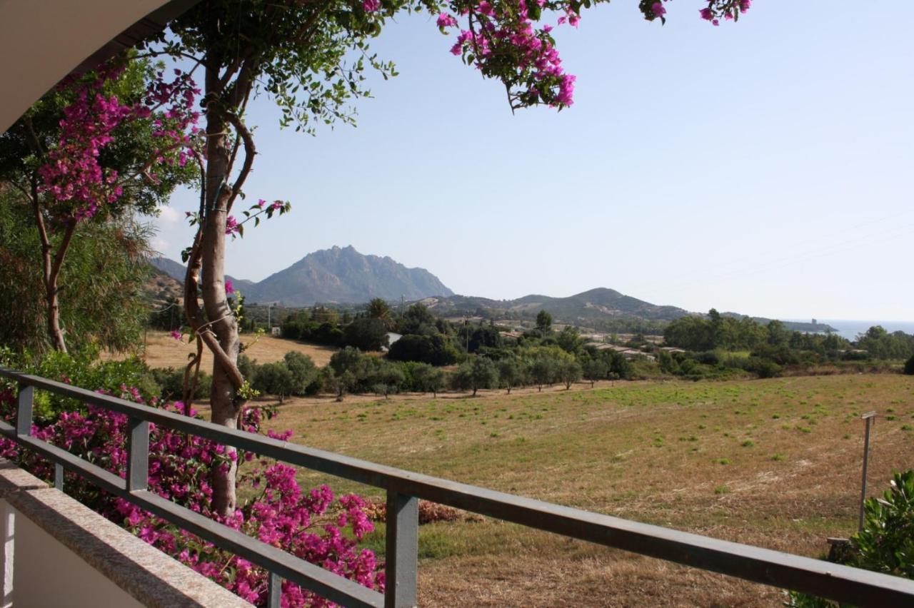 Vacanza In Ogliastra Tertenìa Екстериор снимка