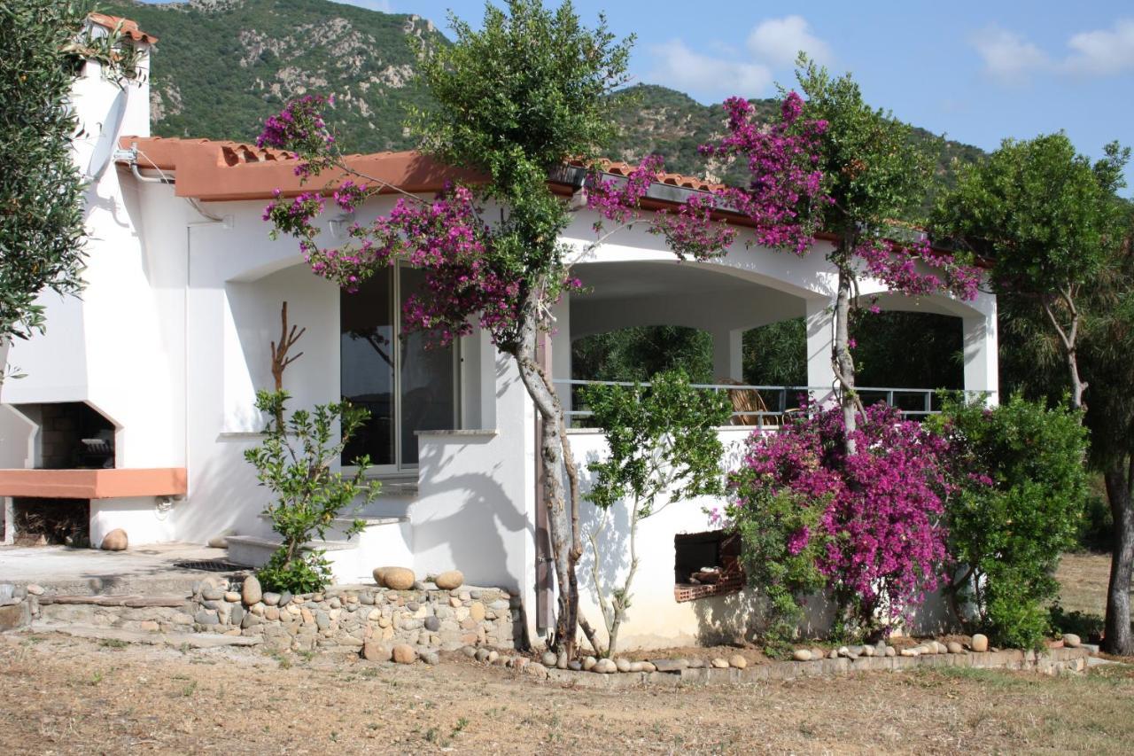 Vacanza In Ogliastra Tertenìa Екстериор снимка