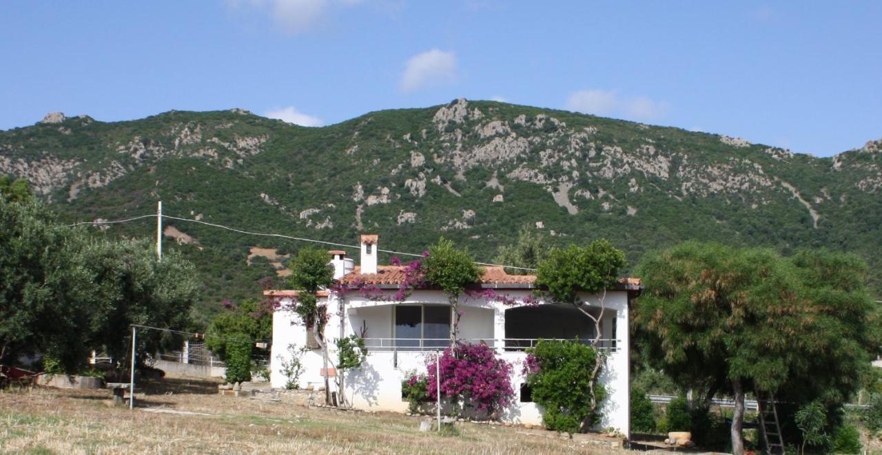 Vacanza In Ogliastra Tertenìa Екстериор снимка