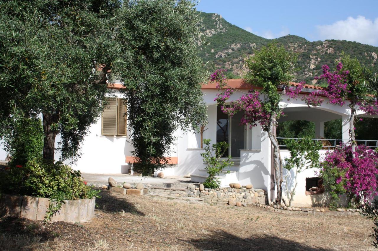 Vacanza In Ogliastra Tertenìa Екстериор снимка