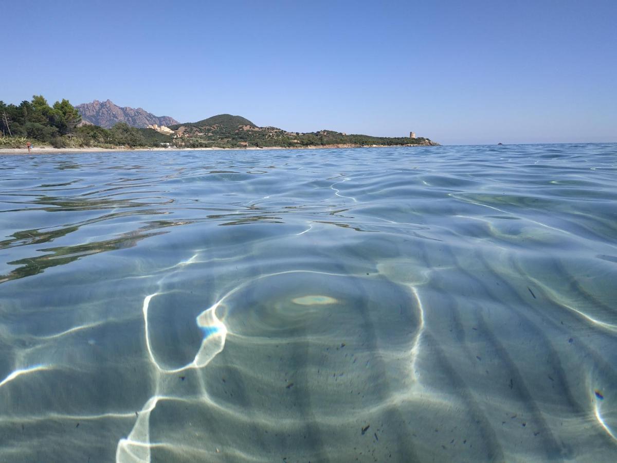 Vacanza In Ogliastra Tertenìa Екстериор снимка