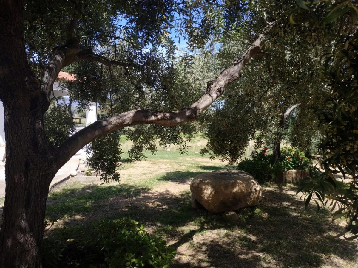 Vacanza In Ogliastra Tertenìa Екстериор снимка