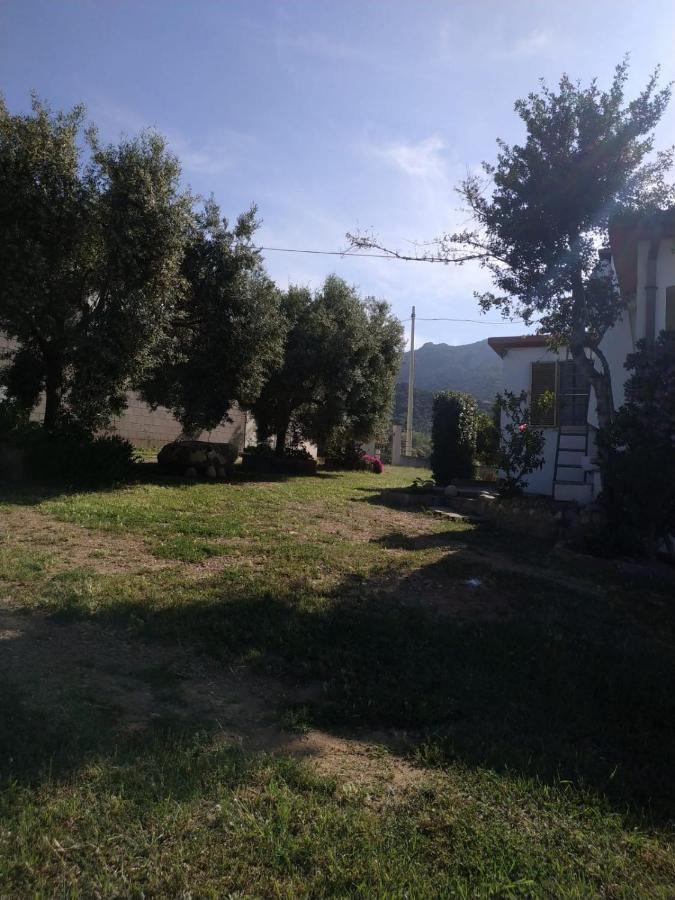 Vacanza In Ogliastra Tertenìa Екстериор снимка