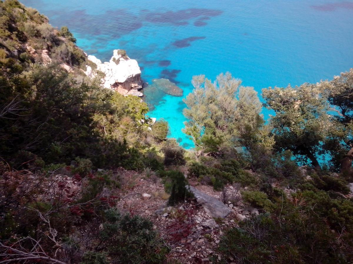 Vacanza In Ogliastra Tertenìa Екстериор снимка