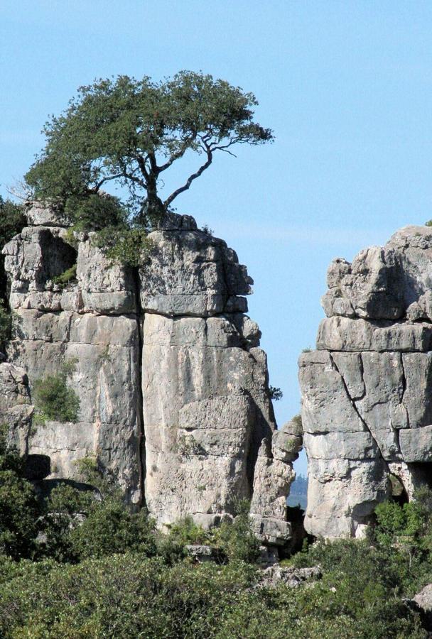 Vacanza In Ogliastra Tertenìa Екстериор снимка