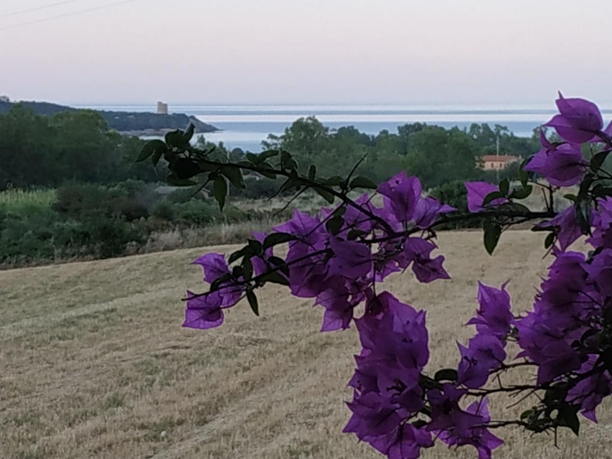 Vacanza In Ogliastra Tertenìa Екстериор снимка